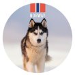 Glassmagnet husky