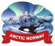 Magnet metall bevegelig Arctic Norway