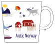Kopp Arctic Norway
