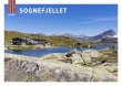 POSTKORT SOGNEFJELLET