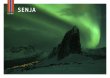 POSTKORT SENJA