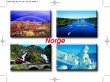 030-016 NORGESKORT