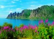 SENJA NATUR