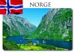 NORGE NÆRØYFJORD FLAGG