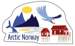Pin Arctic Norway