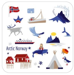 Coaster Arctic Norway