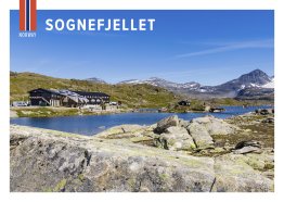 POSTKORT SOGNEFJELLET