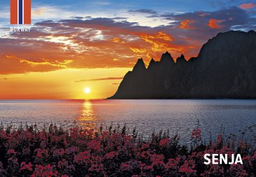 Magnet Senja midnattsol