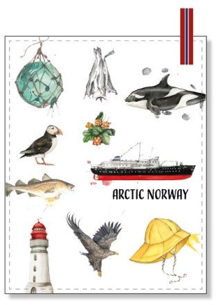 Kjøkkenhåndkle Emmeselle Arctic Norway
